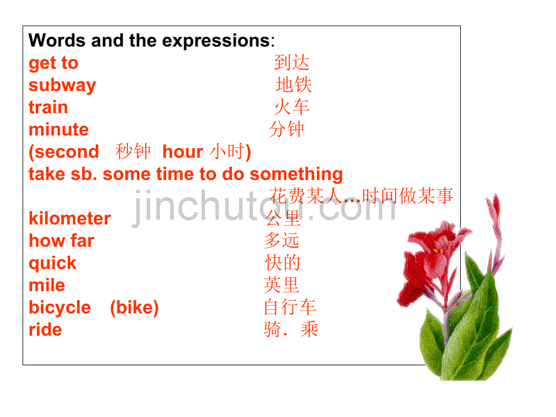 八年级英语上学期unit 4 how do you go to school新目标_第5页