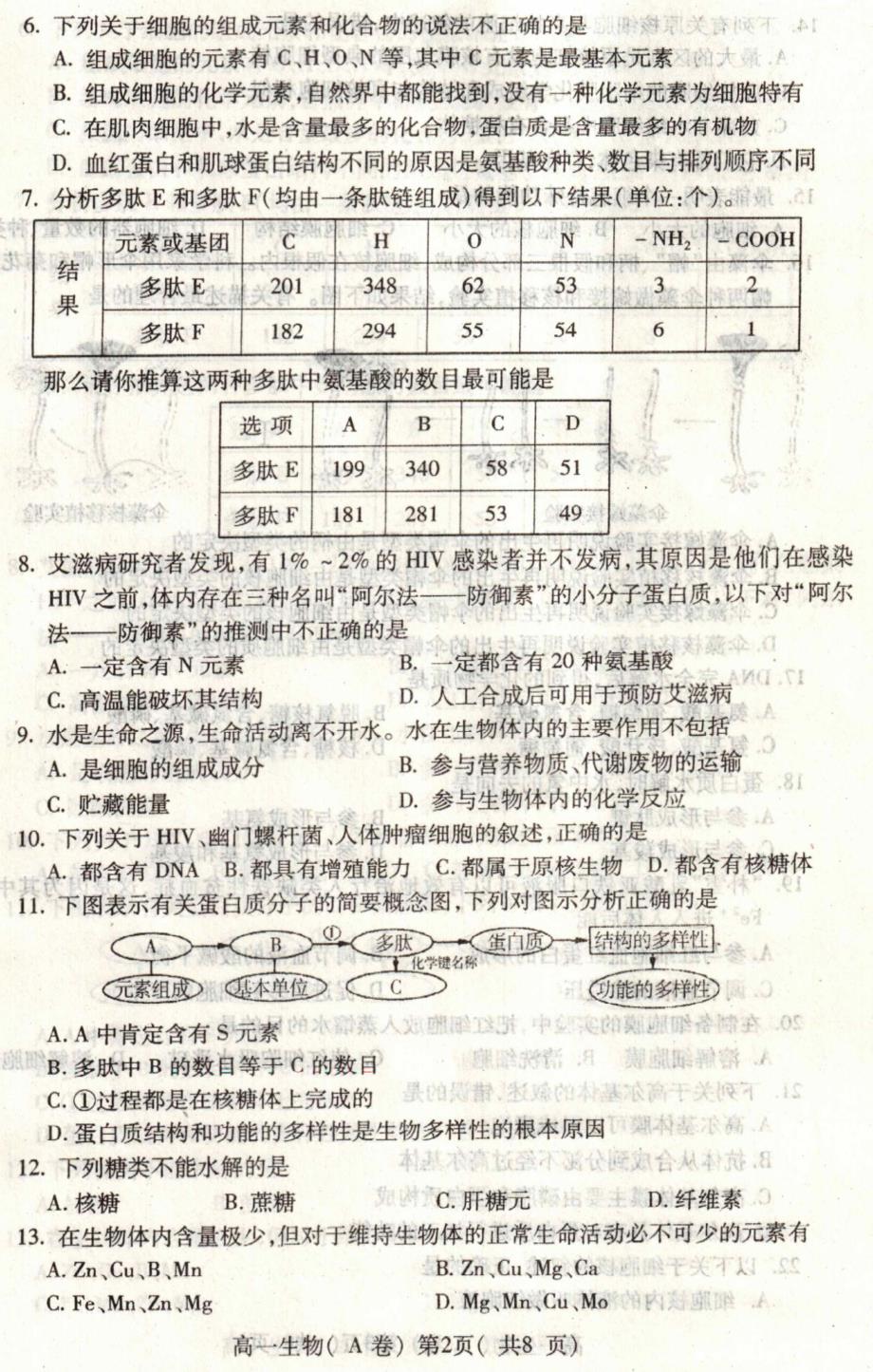 2012-2013 第1学期 高1生物期中试题(附参考答案)_第2页