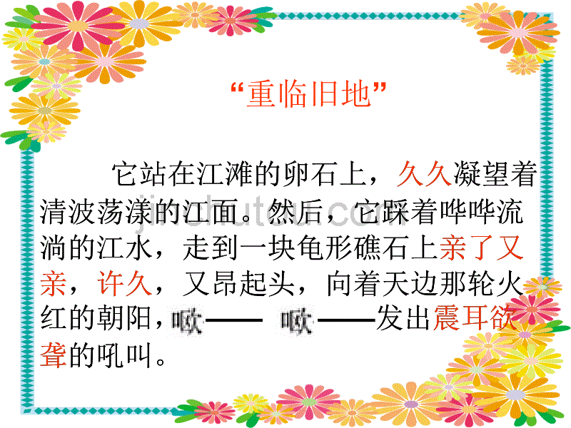 23《最后一头战象》3 教学课件_第5页