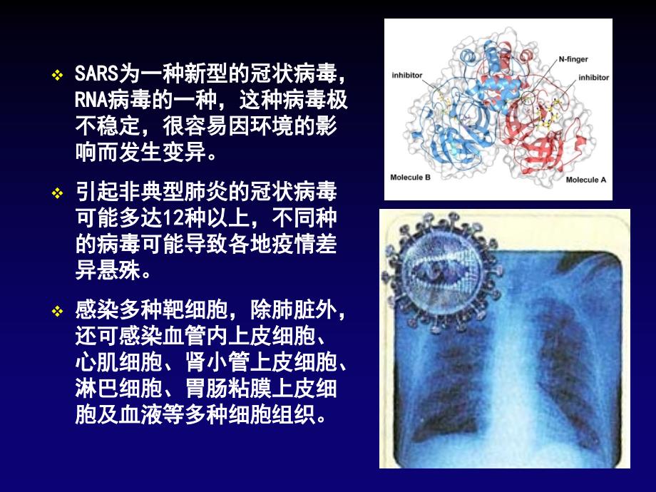 1.1+从生物圈到细胞_第3页