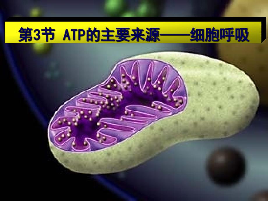 【必修1】5.3 ATP的主要来源—细胞呼吸2 [最新]_第1页