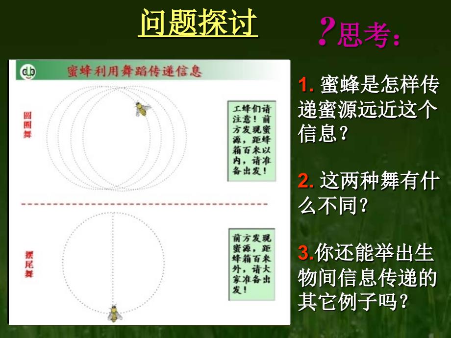 [必修3]5.4　生态系统的信息传递2 [最新]_第3页