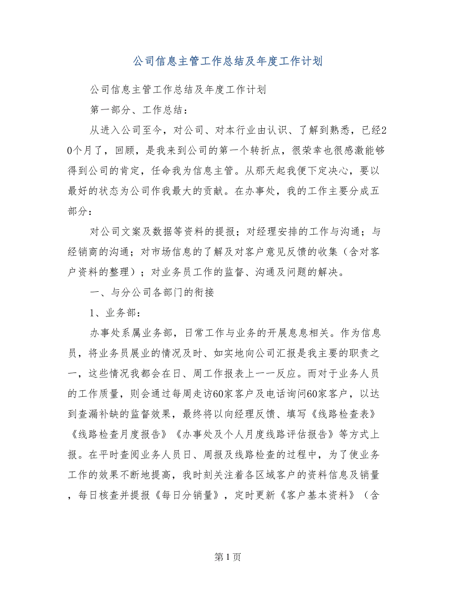 公司信息主管工作总结及年度工作计划_第1页