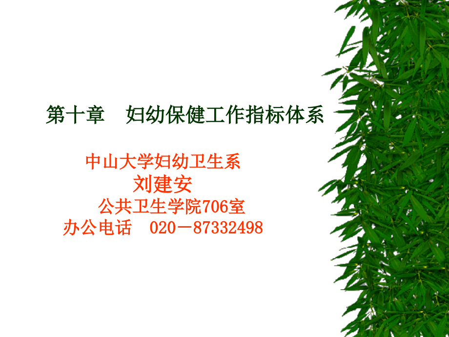 妇幼保健工作指标体系_第1页