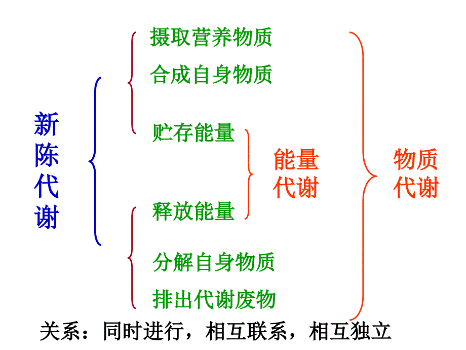 代谢的多样性--浙教版_第3页