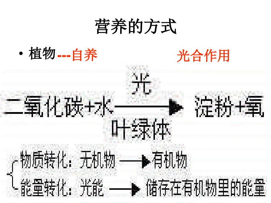 代谢的多样性--浙教版_第4页