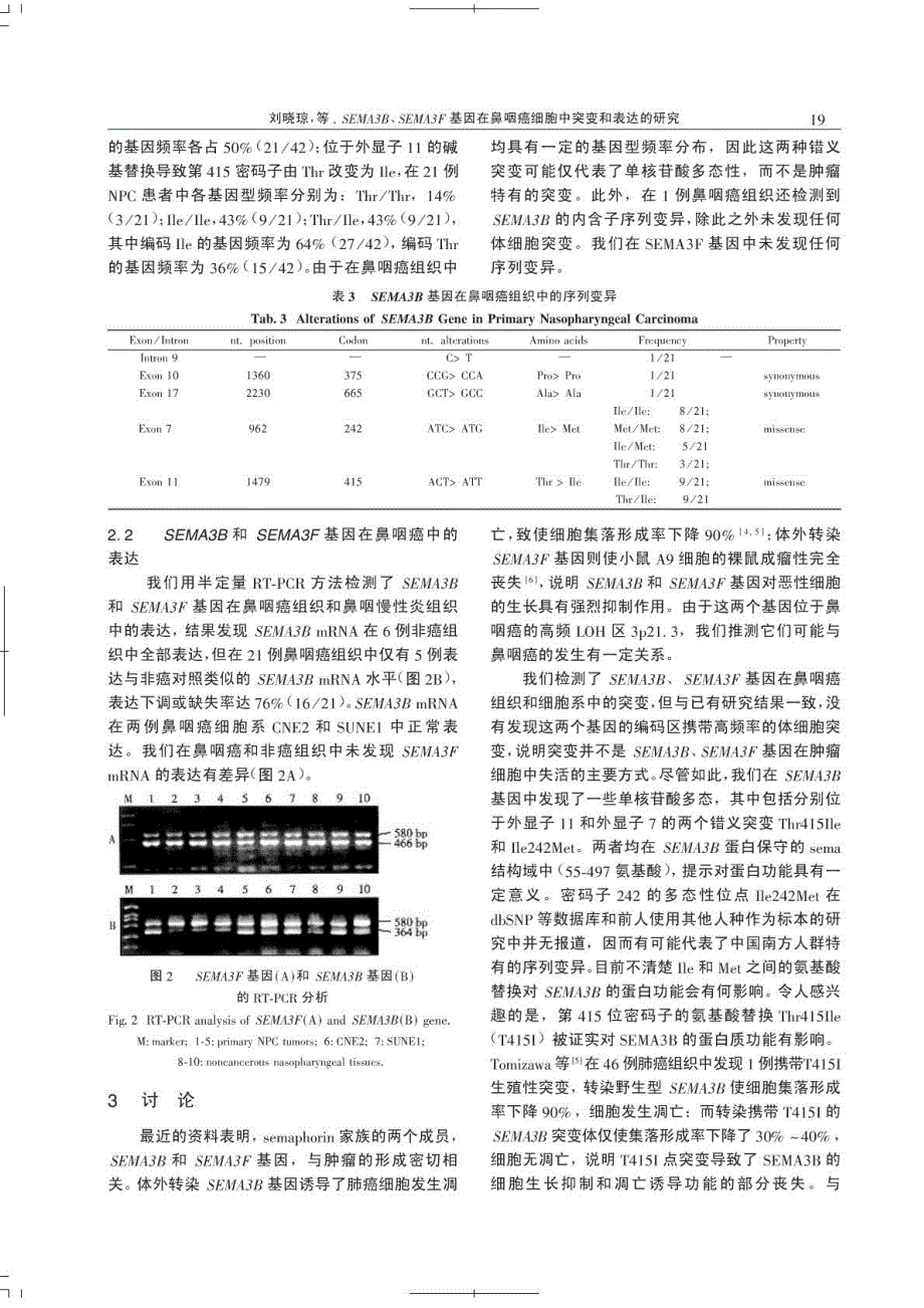 SEMA3B，SEMA3F基因在鼻咽癌细胞中突变和表达的研究_第4页