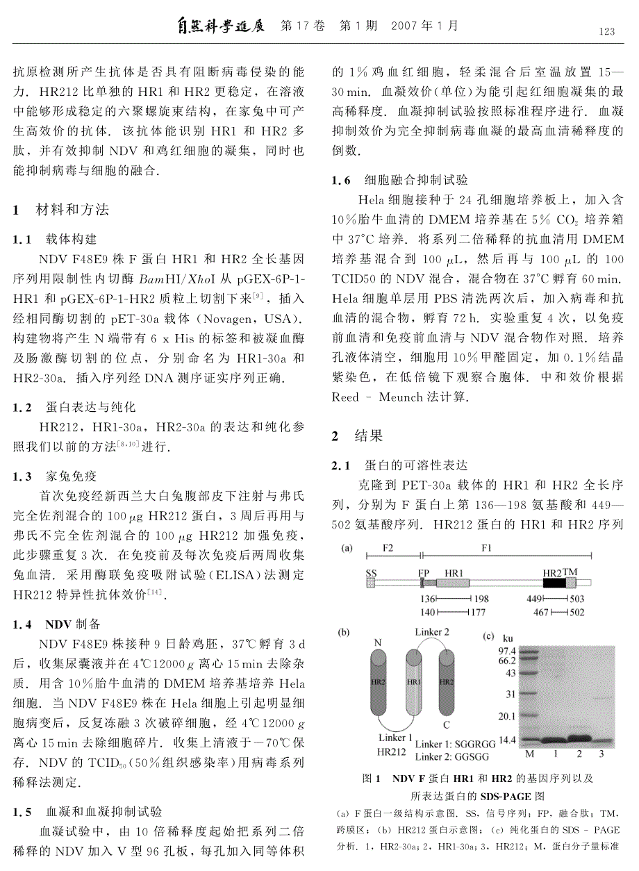 新城疫病毒F_蛋白七肽重复序列(HR)三螺旋HR212蛋白的抗体抑制病毒和细胞融合_第2页