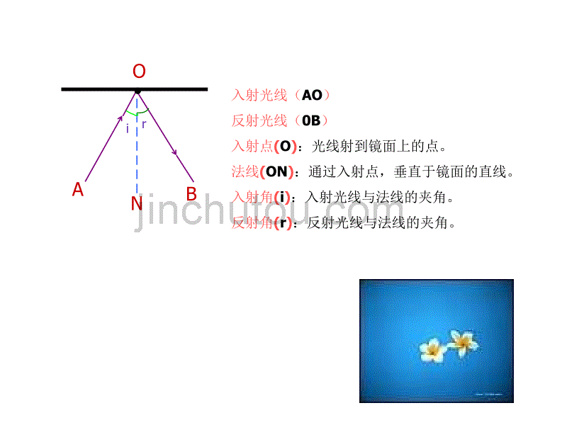 八年级物理光的反射2(2)_第5页