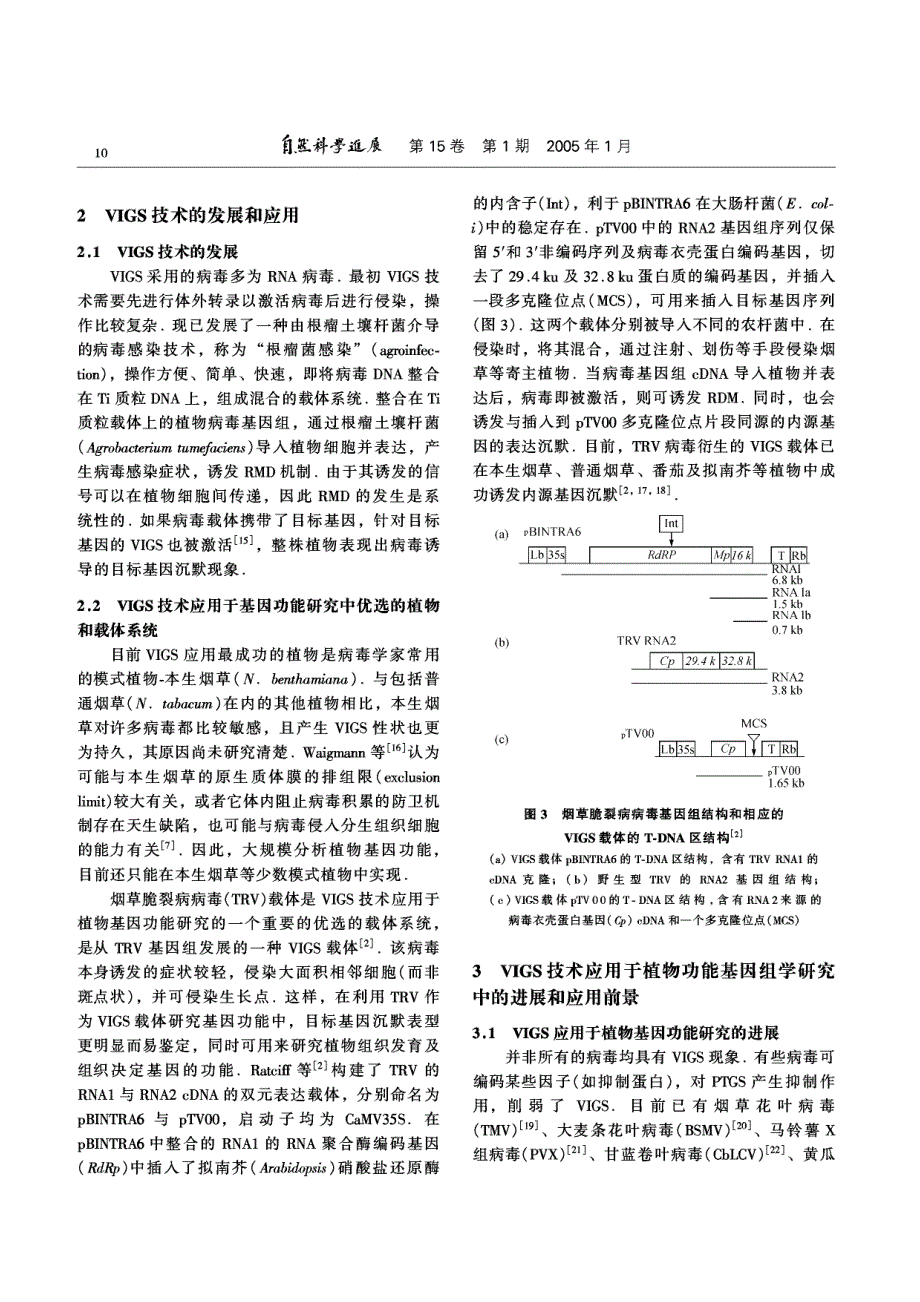 病毒诱导的基因沉默及其在植物功能基因组学研究中的应用_第3页