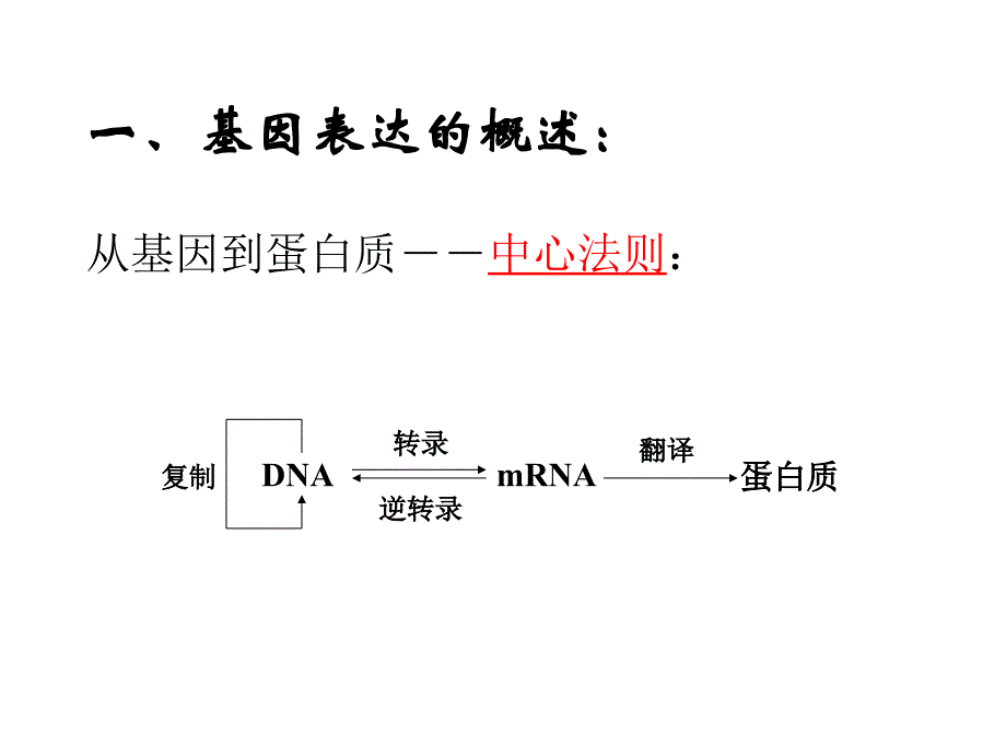 生物基因的表达及调控_第2页