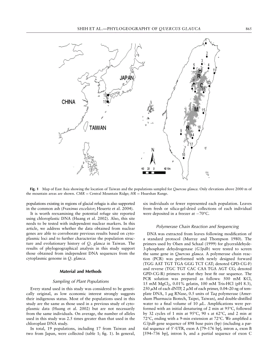 利用核内基因之序列研究青刚栎与冷杉之亲缘地理形式（23）_第4页