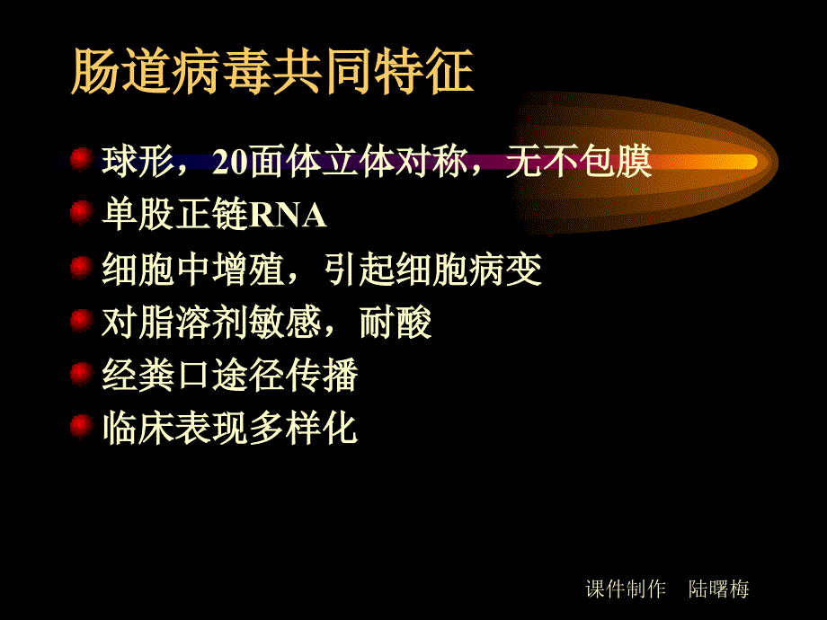 微生物学检验肠道病毒及检验_第2页