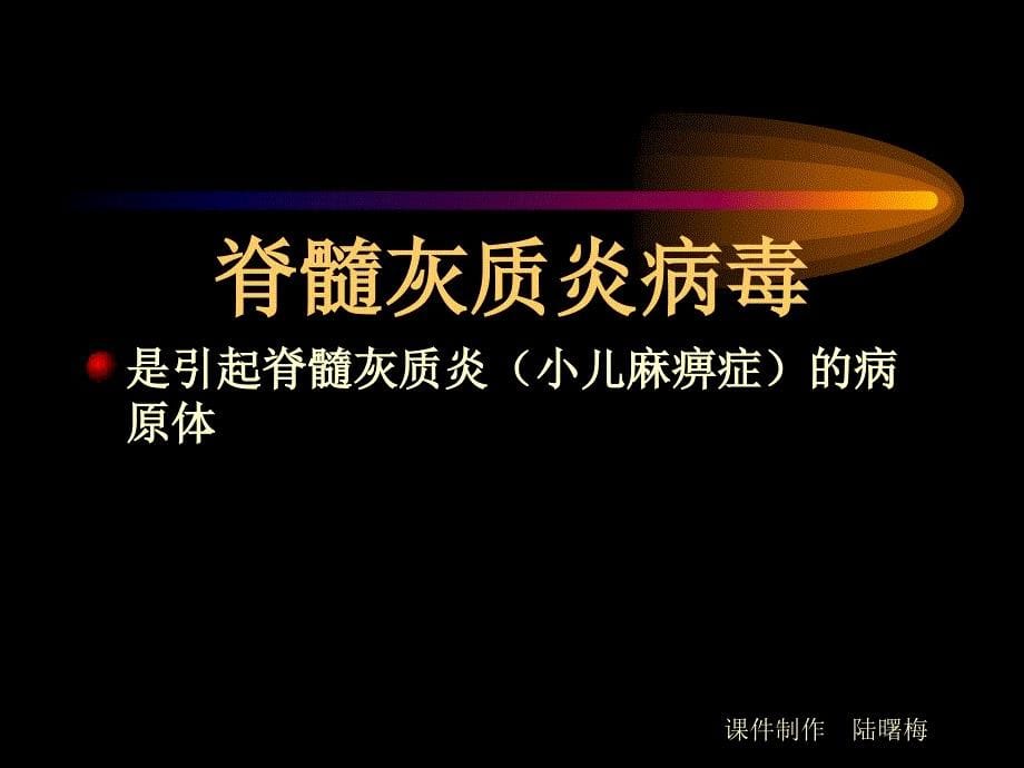 微生物学检验肠道病毒及检验_第5页