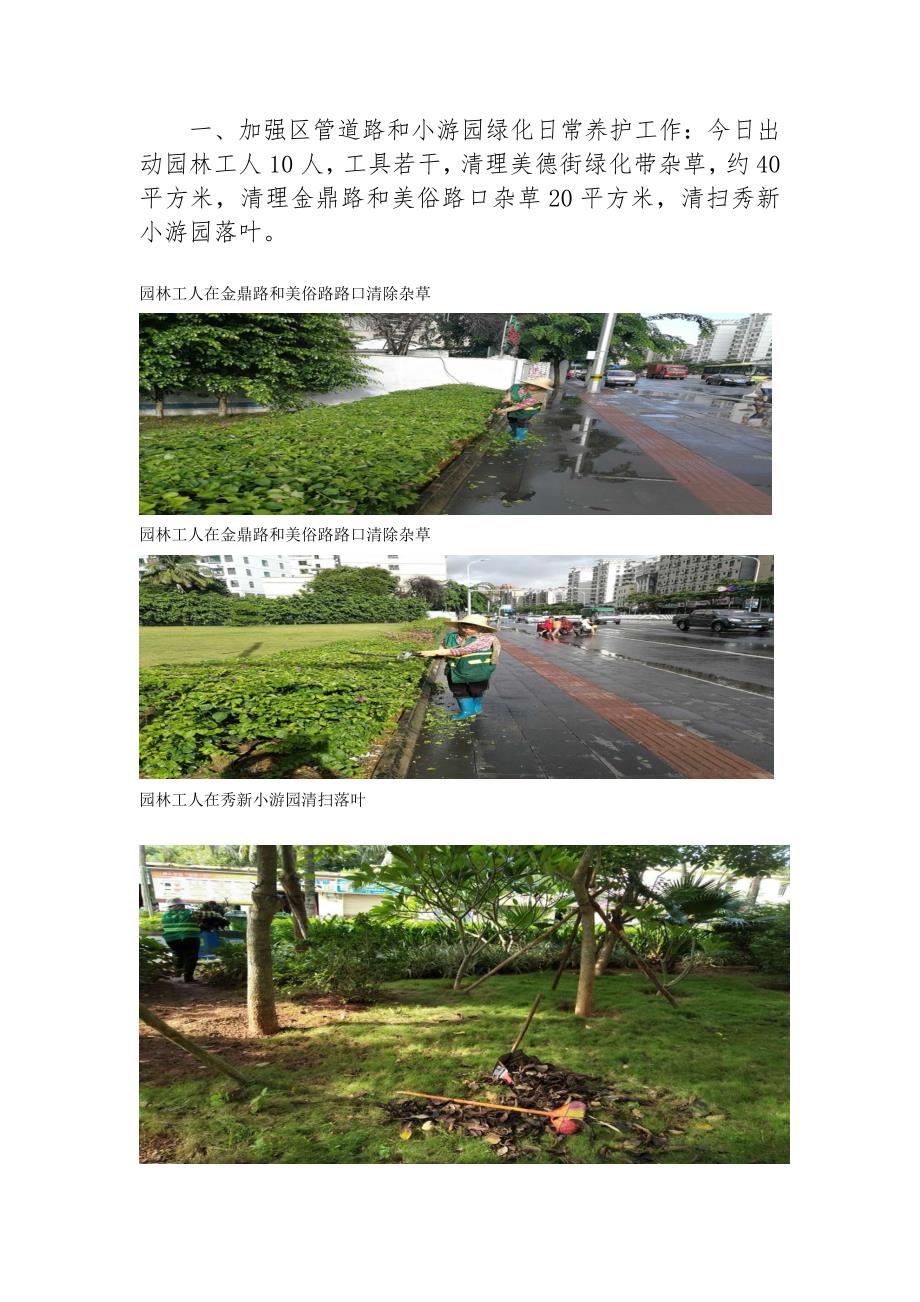 加强区管道路和小游园绿化日常养护工作今日出动园林工_第1页