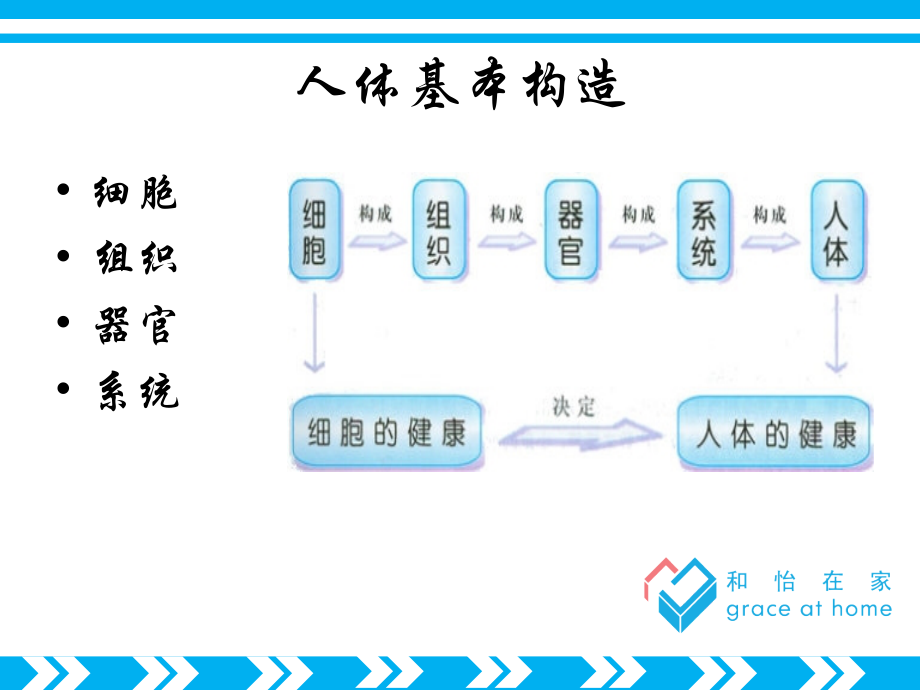 老年人常见疾病的护理_第3页