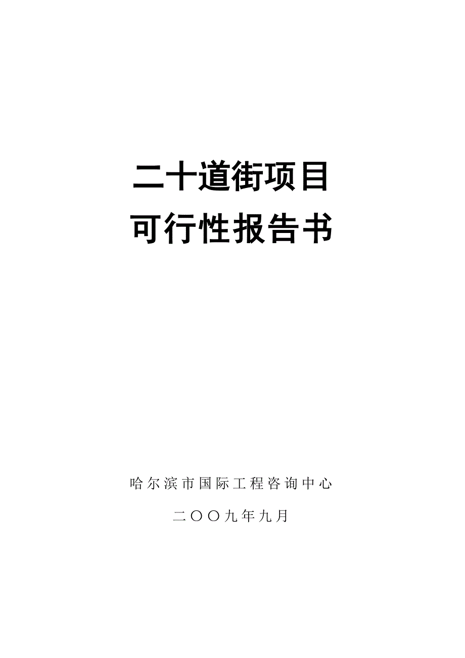 二十道街项目可行性报告_第1页