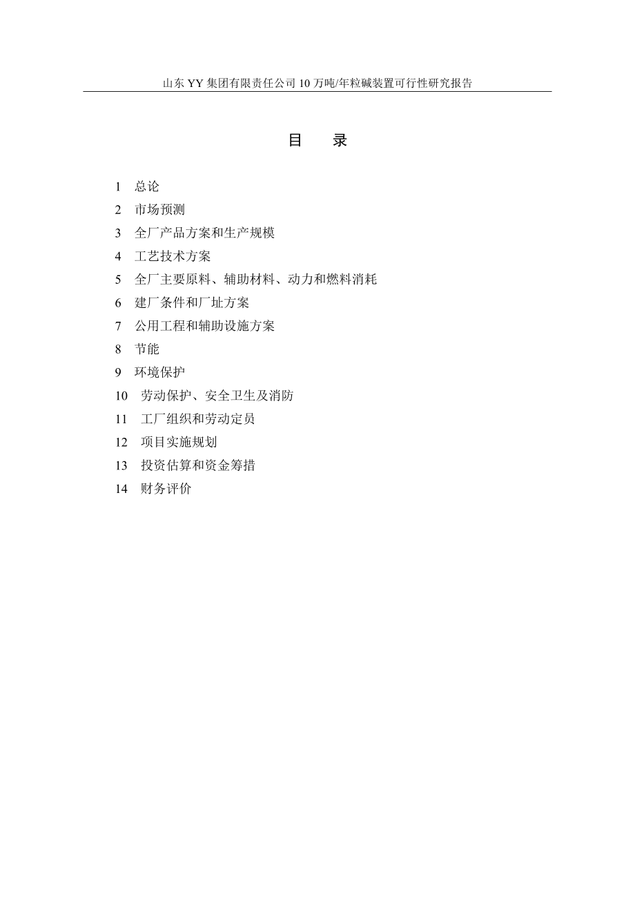 年产10万年粒碱装置建设项目可行性研究报告含财务表_第2页