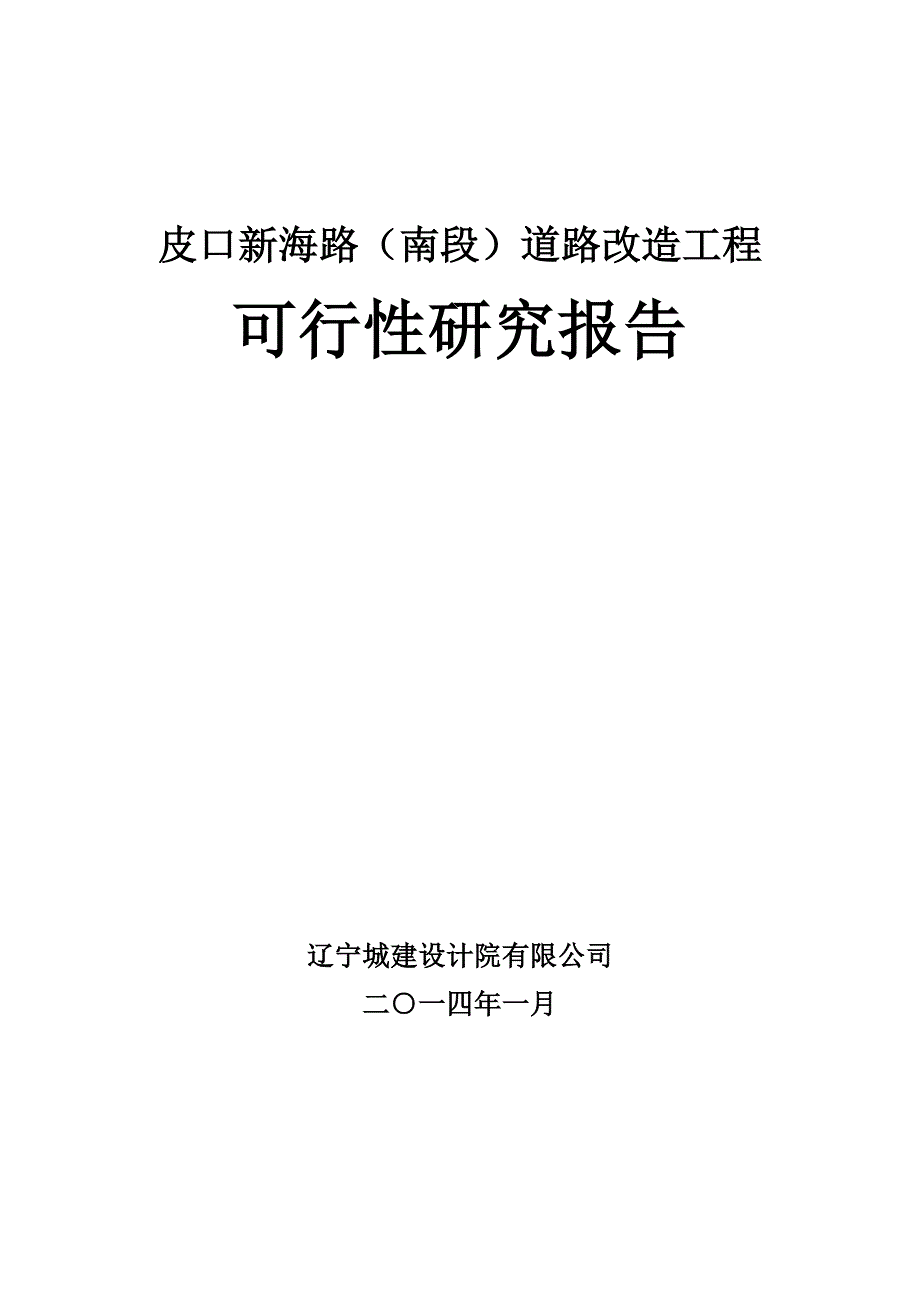 新海路道路改造工程可行性研究报告_第1页