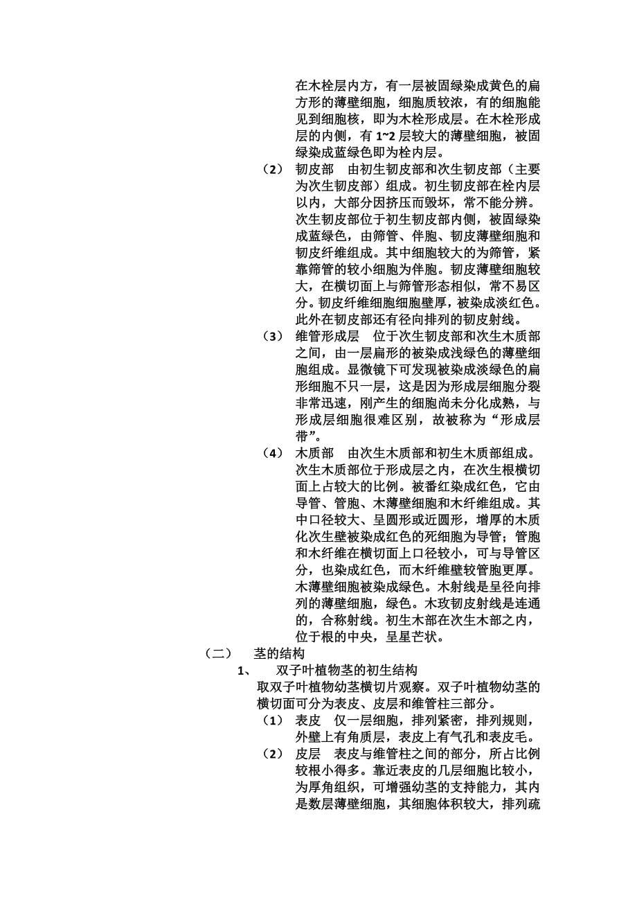 实验二 徒手切片法和临时装片的制作方法以及植物细胞和组织观察_第5页