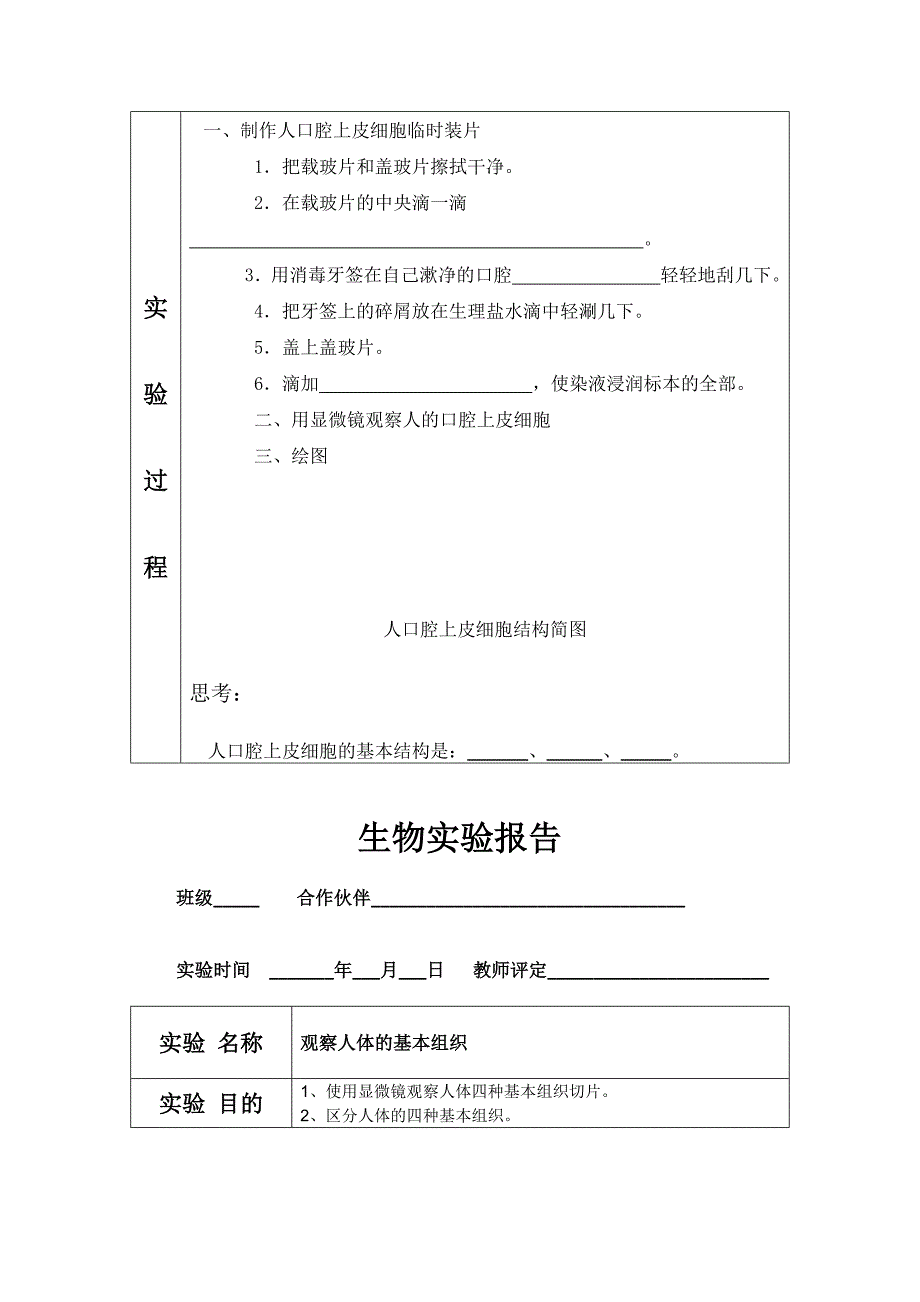 七年级生物实验报告_第4页