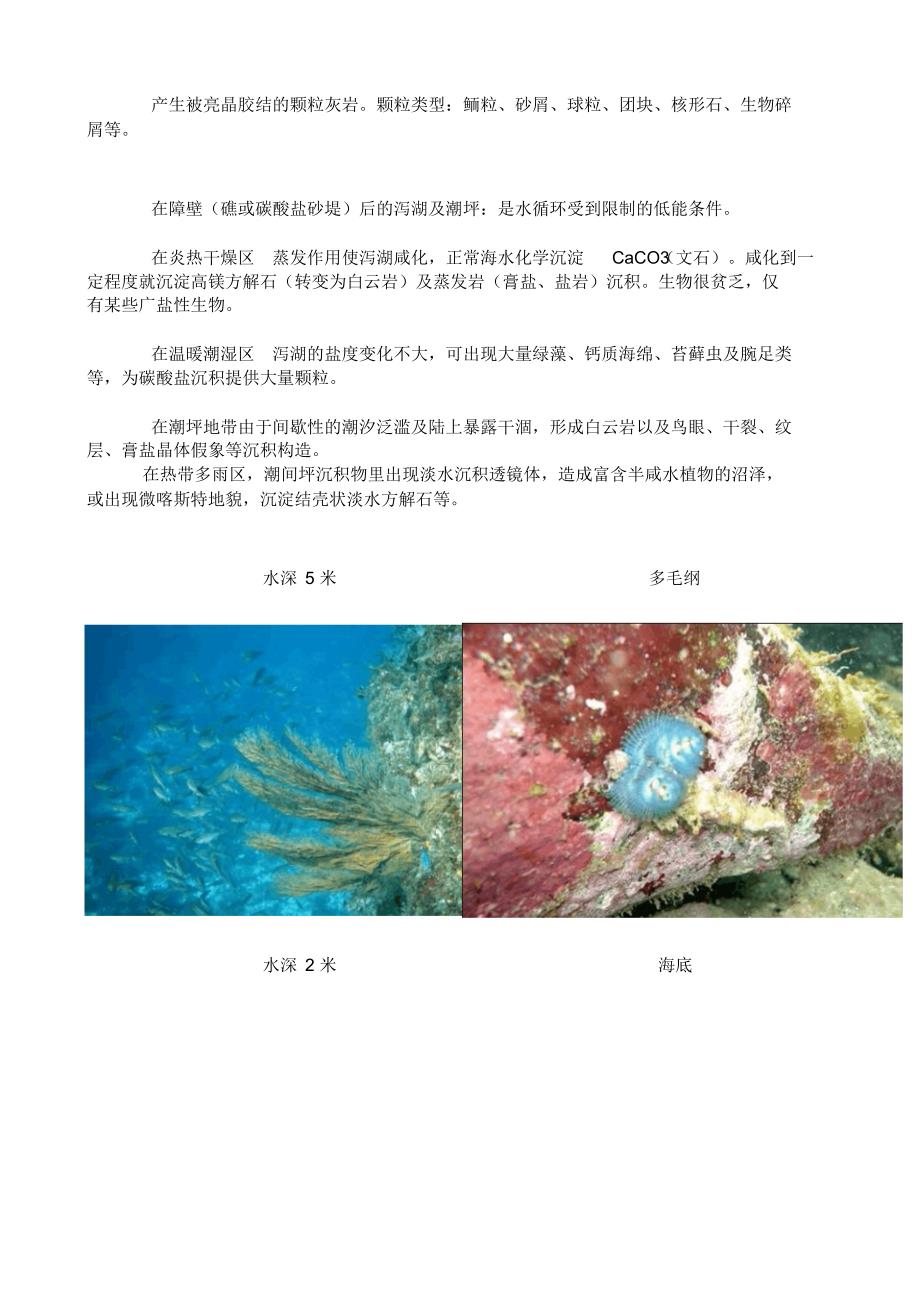 海洋碳酸盐沉积环境_第3页