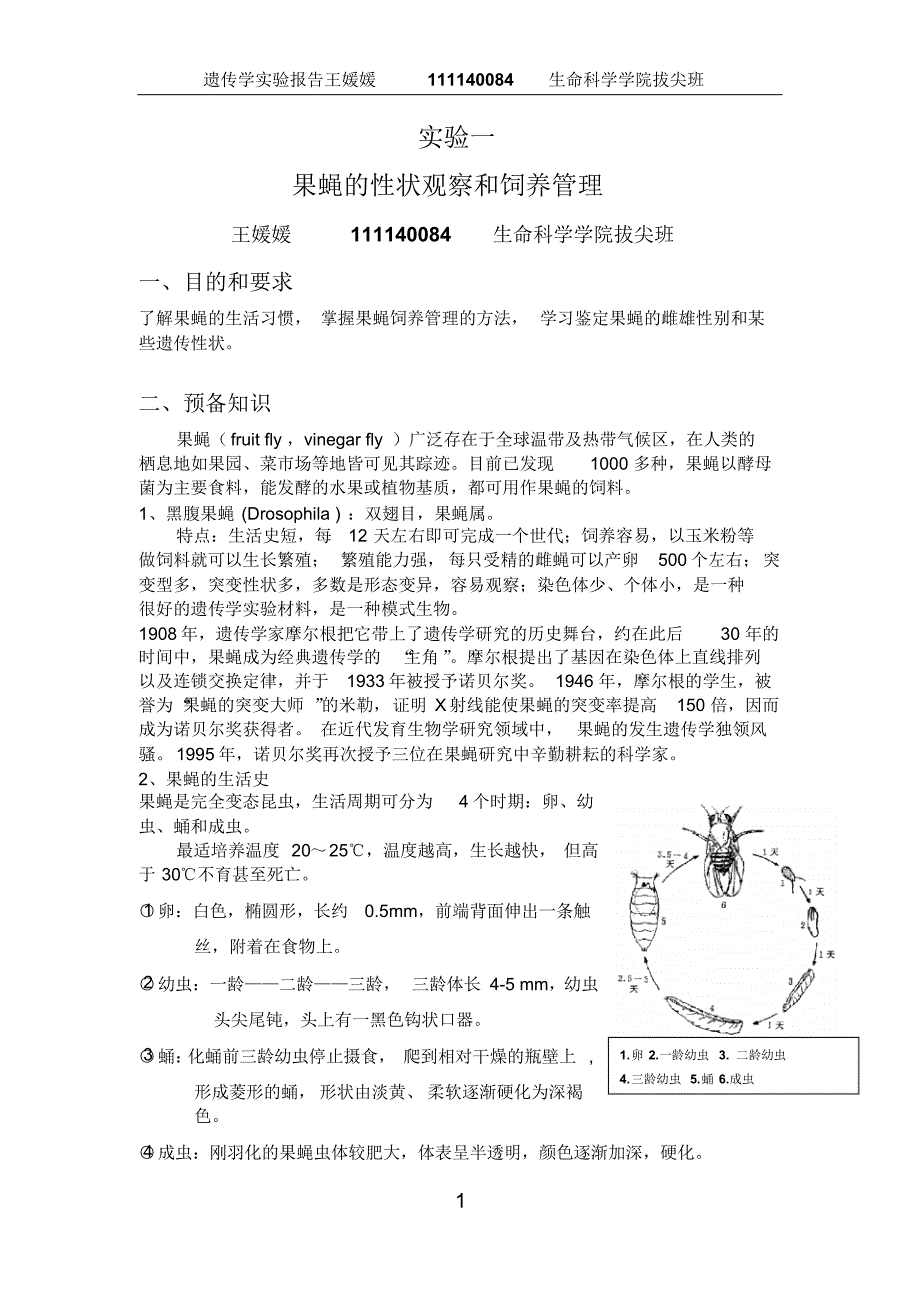 遗传学实验一：果蝇的性状观察和饲养管理_第1页