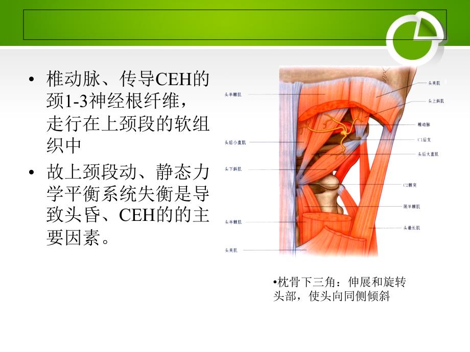 颈源性头痛穴位精确靶点注射法_第3页