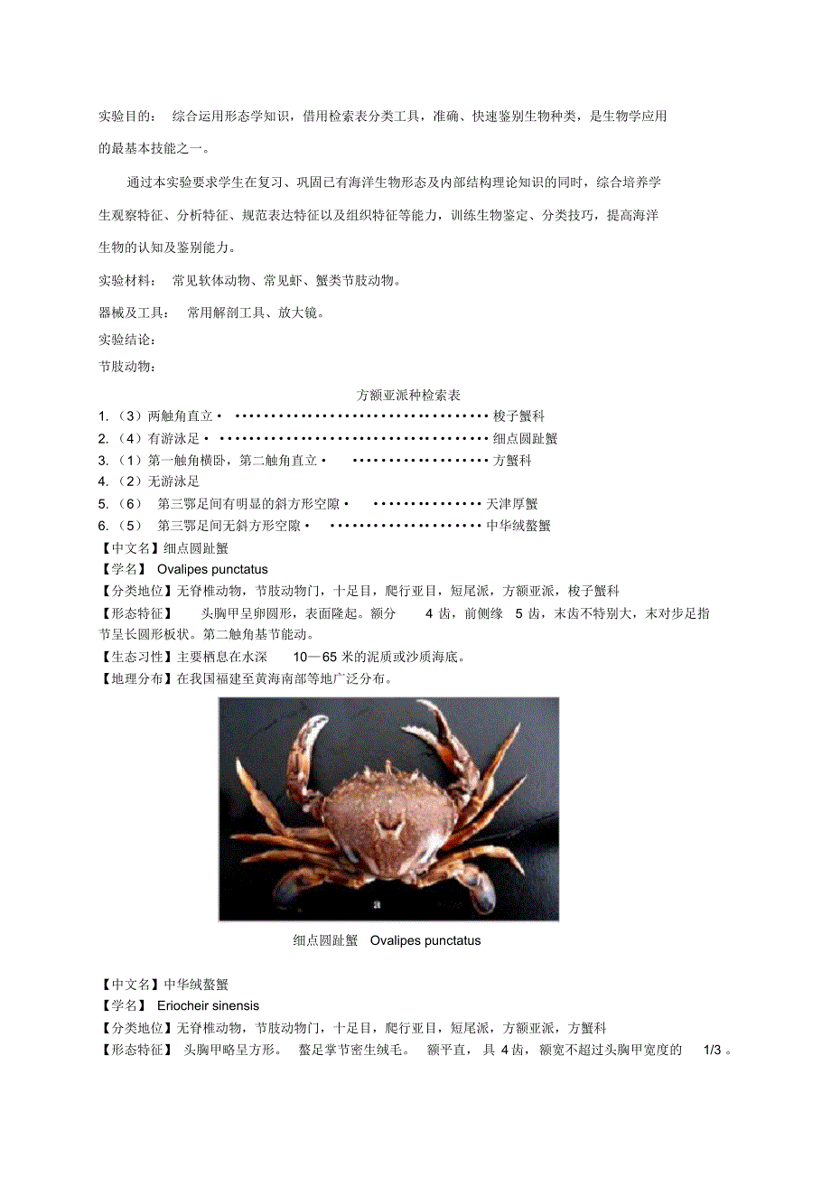 海洋生物学实验——节肢动物与软体动物的观察_第2页