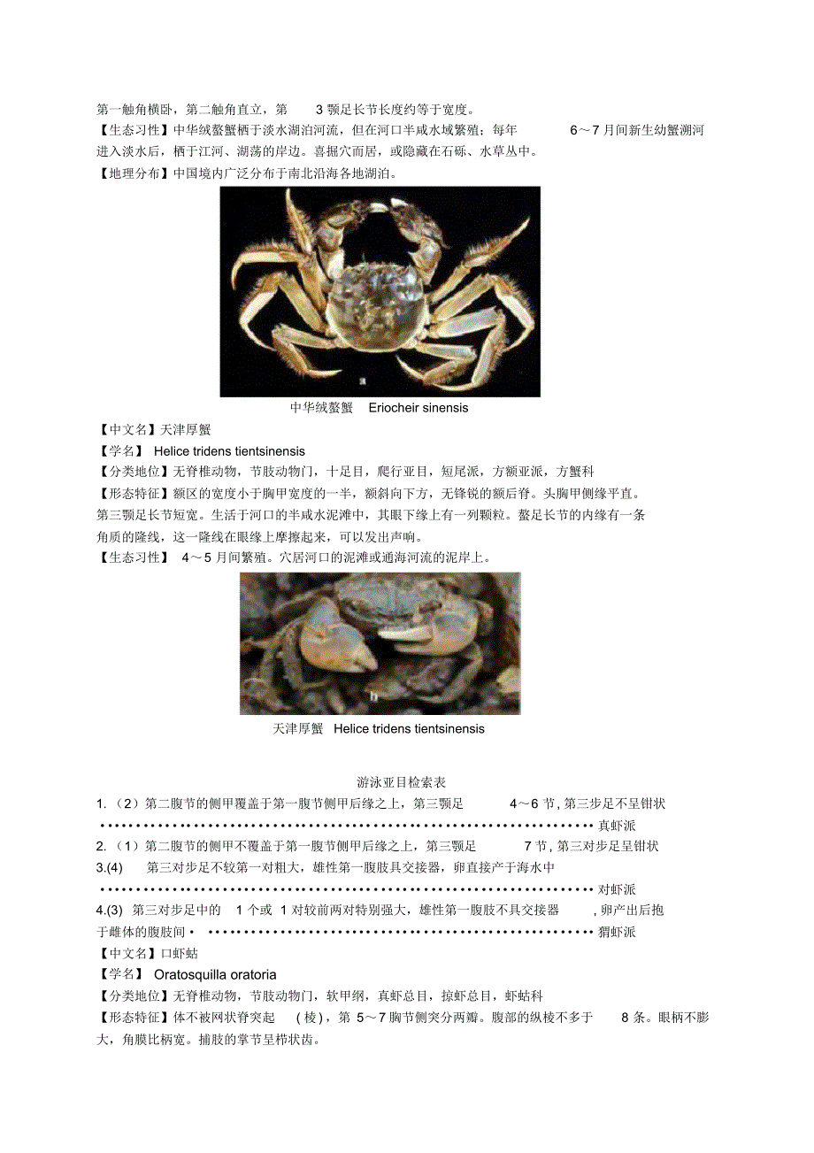 海洋生物学实验——节肢动物与软体动物的观察_第3页