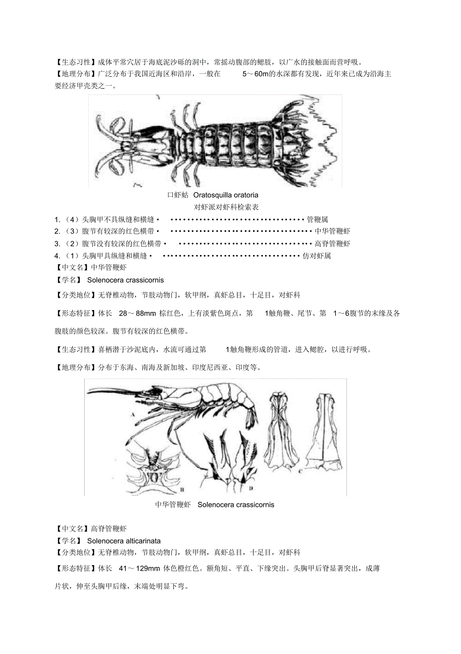 海洋生物学实验——节肢动物与软体动物的观察_第4页