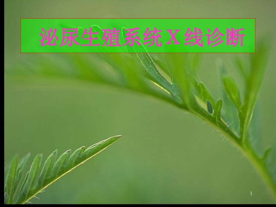 泌尿生殖系统ｘ线诊断_第1页