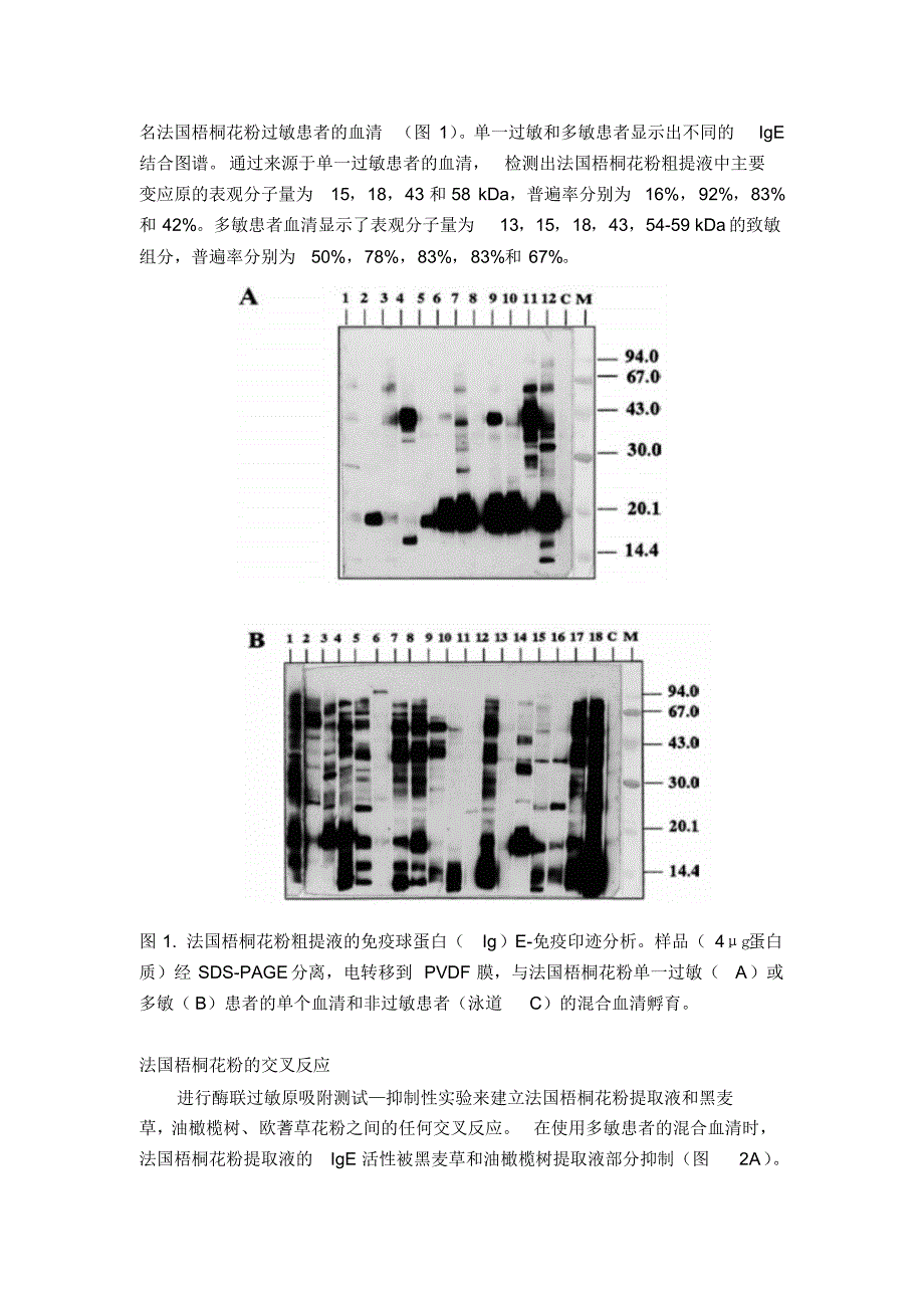 法国梧桐花粉主要变应原Plaa1的纯化和鉴定_第4页