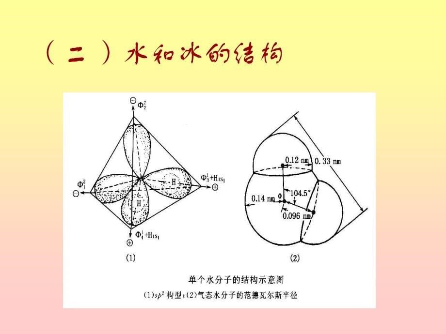 食品生物化学水和矿物质_第5页