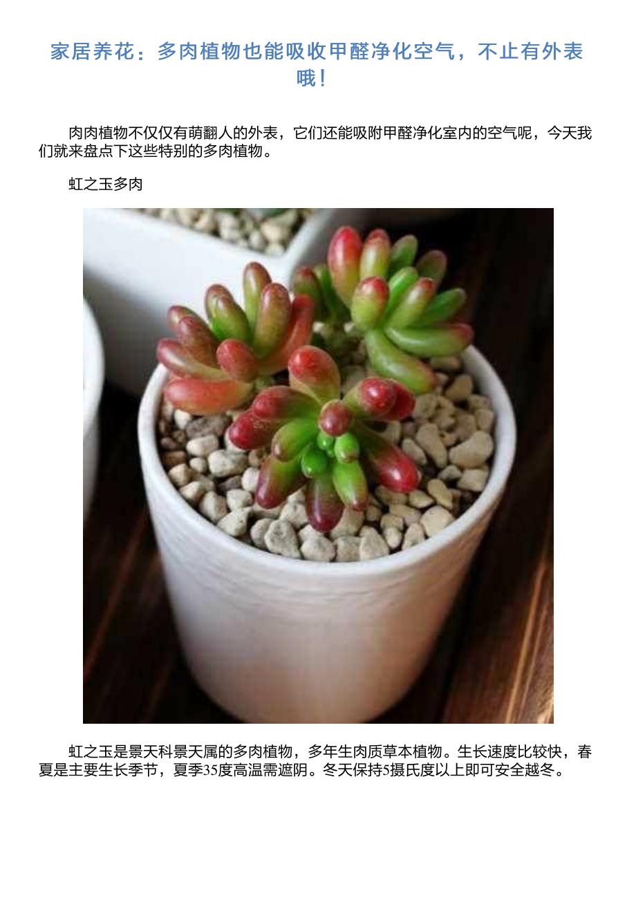 家居养花：多肉植物也能吸收甲醛净化空气,不止有外表哦!_第1页