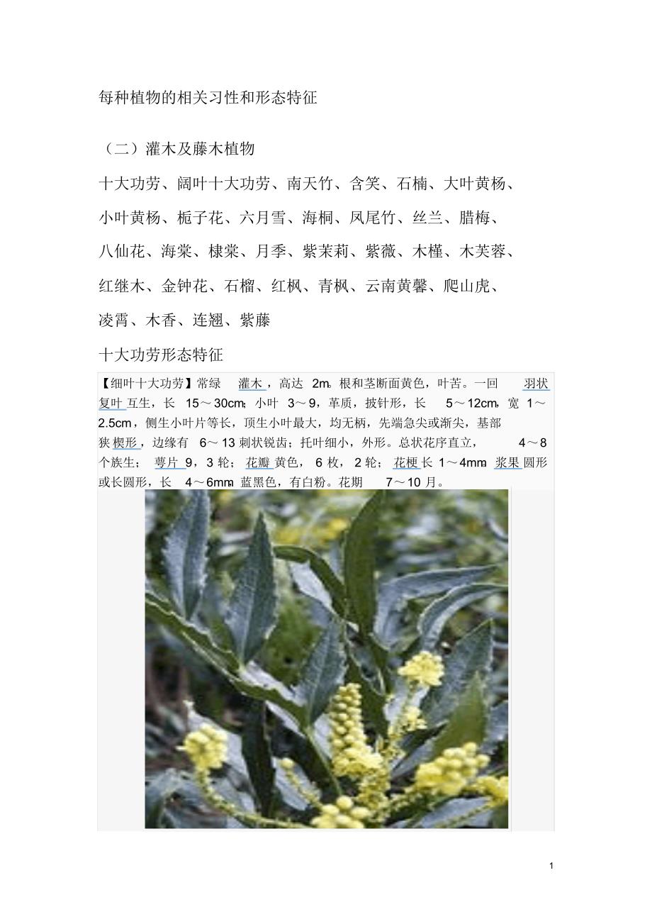 每种植物的相关习性和形态特征_第1页
