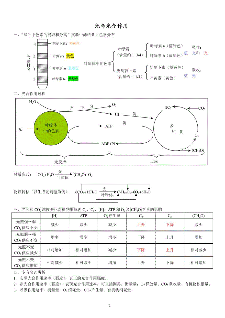 【重难点】高中生物光合作用与呼吸作用复习提纲_第2页