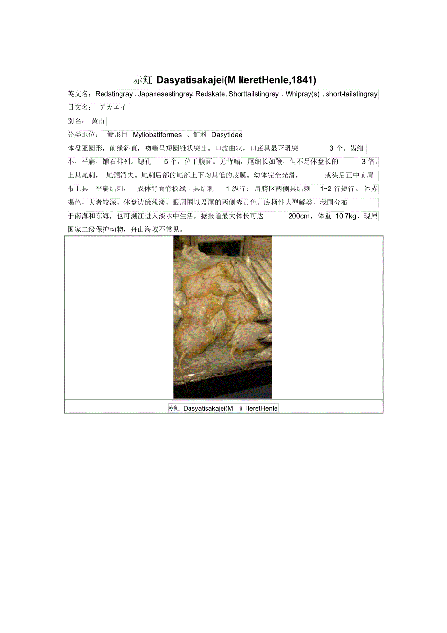 海洋生物作业(第二部分)_第1页
