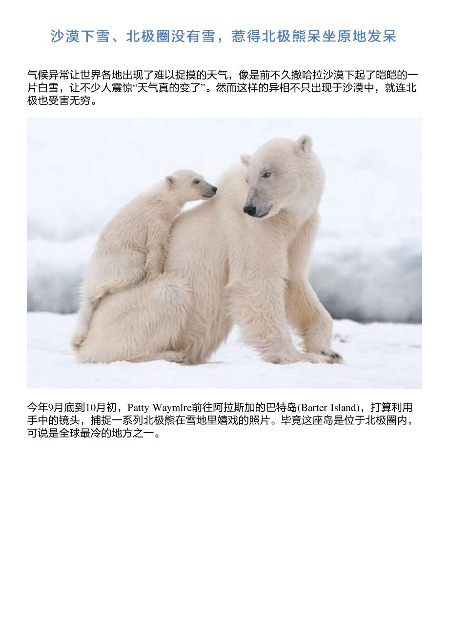 沙漠下雪、北极圈没有雪,惹得北极熊呆坐原地发呆_第1页