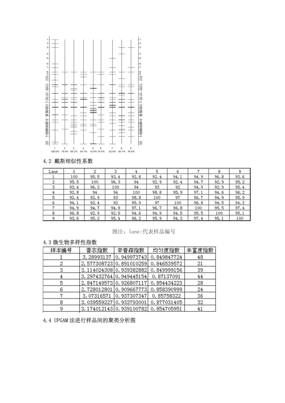 微生物之微生物多样性分析-DGGE_第4页