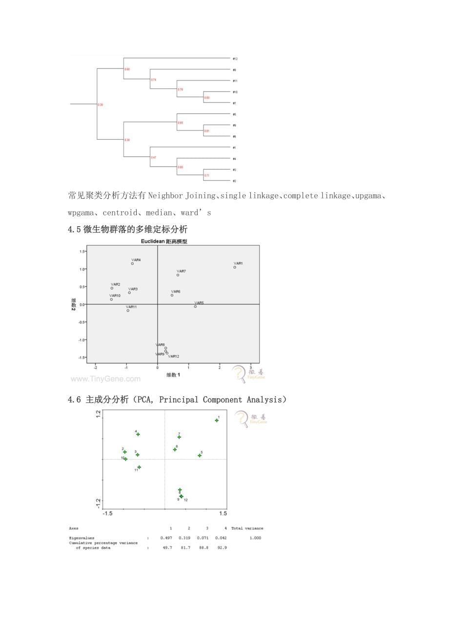 微生物之微生物多样性分析-DGGE_第5页