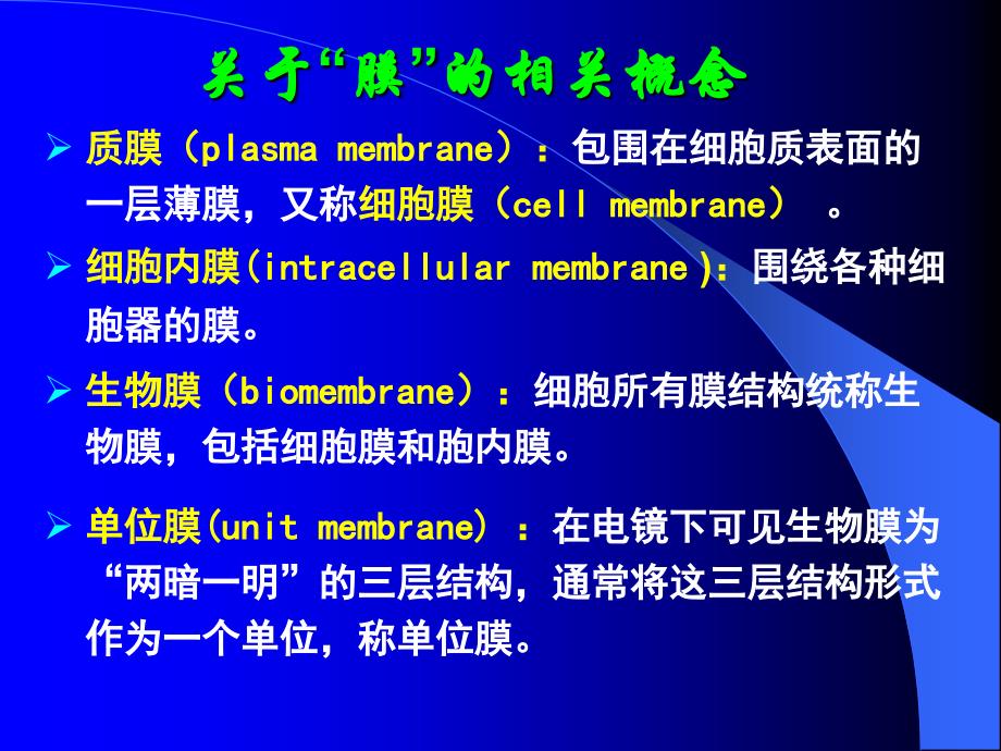 第四章 细胞膜及其表面结构_第2页