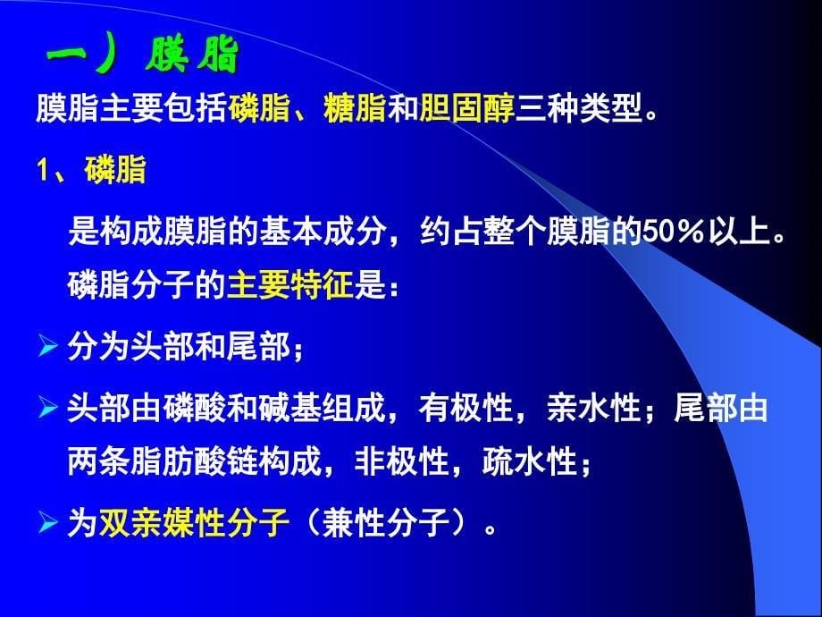 第四章 细胞膜及其表面结构_第5页