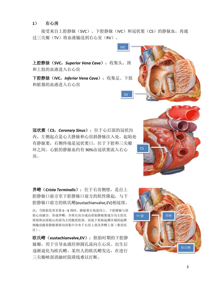 新员工自习手册--基础知识篇_第4页