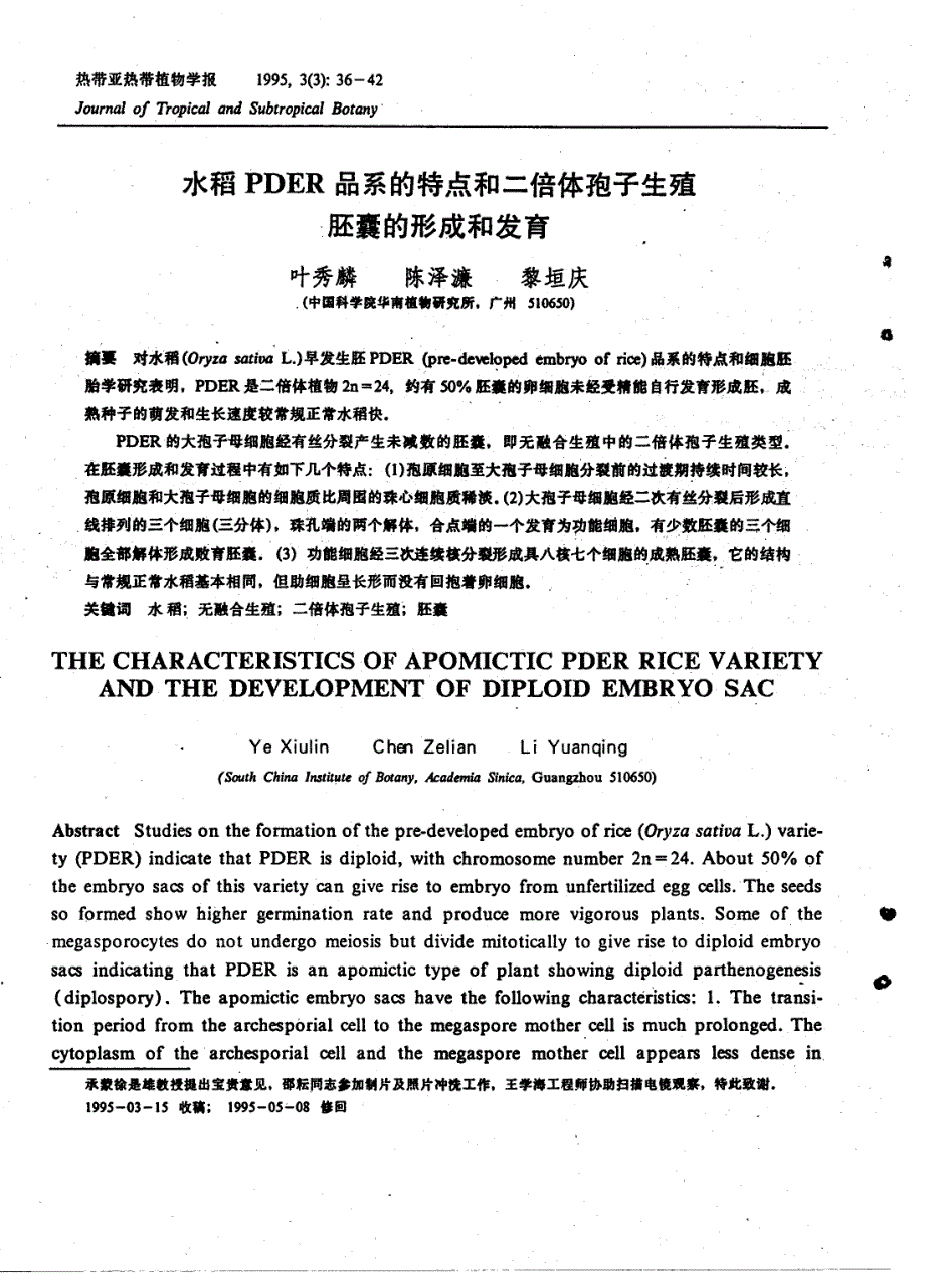 水稻pder品系的特点和二倍体孢子生殖胚囊的形成和发育_第1页