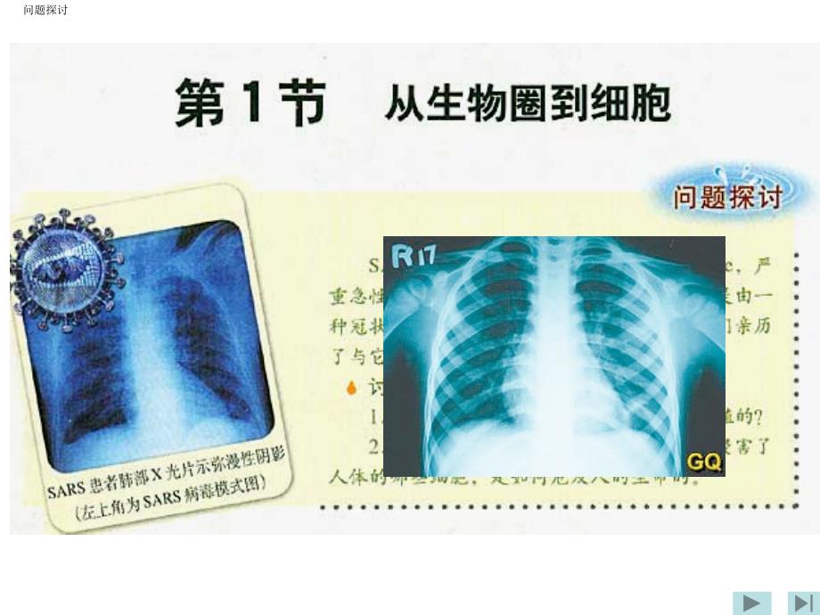 从生物圈到细胞-课件 9_第3页