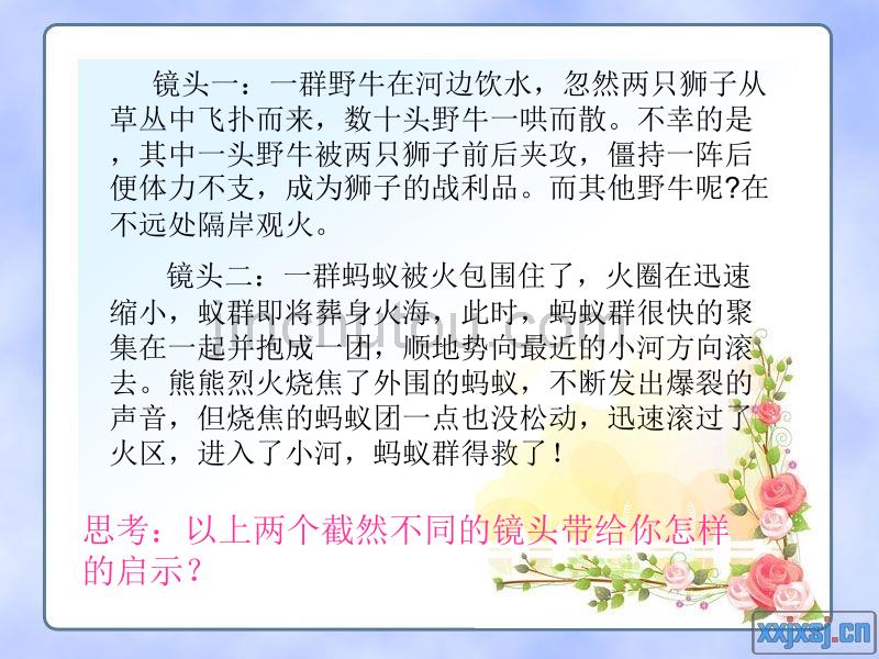 镜头一一群野牛在河边饮水,忽然两只狮子从草丛中飞扑_第2页