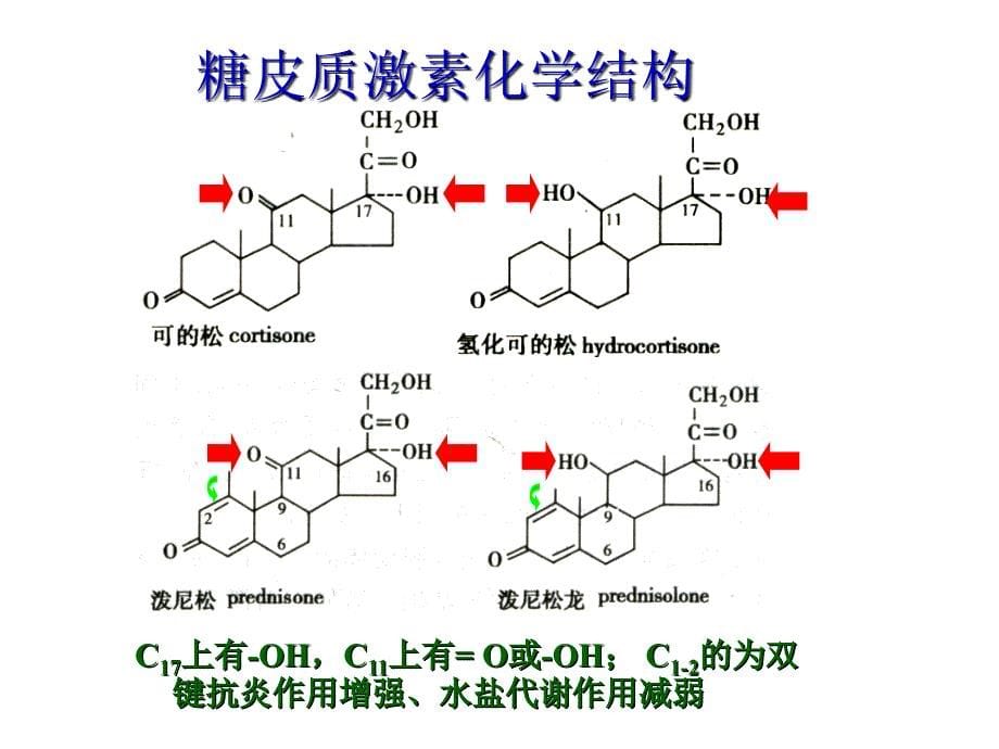 常用糖皮质激素类药物课件_第5页