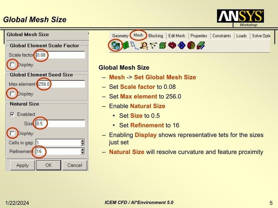 ansys icem资料--b5-ws-finconfig_第5页