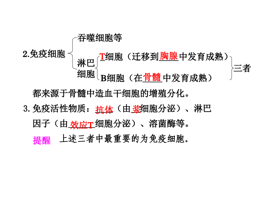 高中生物 免疫调节_第2页